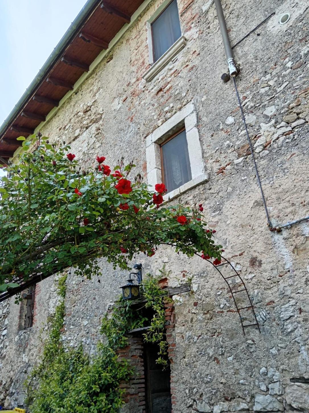 Casa Vacanze Antico Poggio Poggio San Giovanni Eksteriør billede